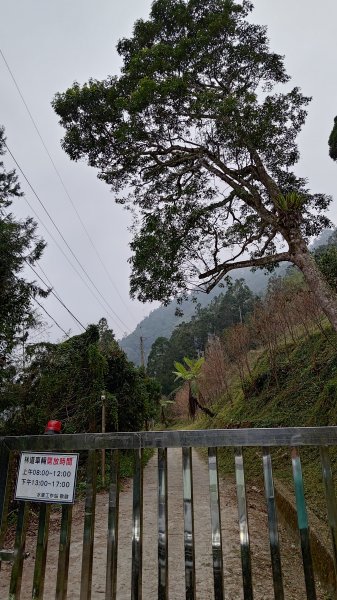 西巒大山2360221