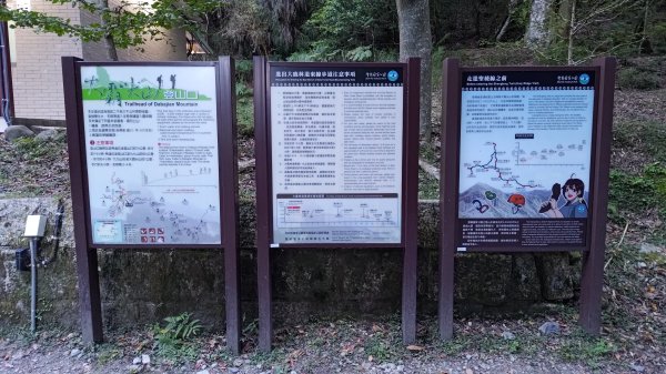 大霸群峰登山步道(大鹿林道線)2911386