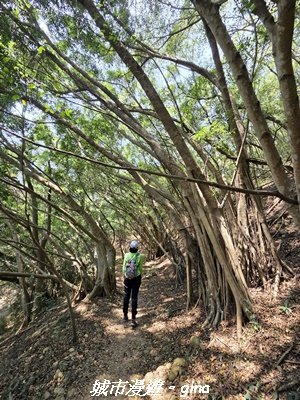 【台中大肚】大肚萬里長城登山步道3023843