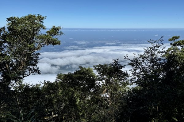 騰龍山-橫龍古道-橫龍山 202411232652987