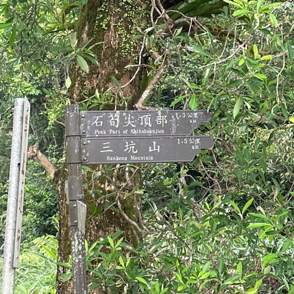 微笑山⛰️線-大棟-二格山-五分山-天上山-鳶山💎12條步道完成💙2836383