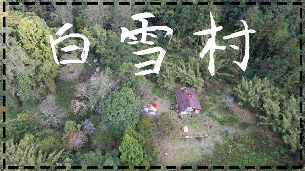 2022.11.19-20【嘉義】探訪遺世獨立的採樟村落-白雪村❄️