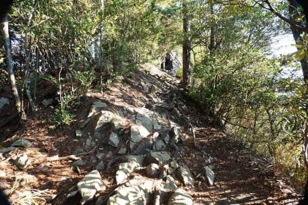 台中 和平 鳶嘴山2926852