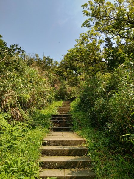 台灣萬里長城－五分山步道934062