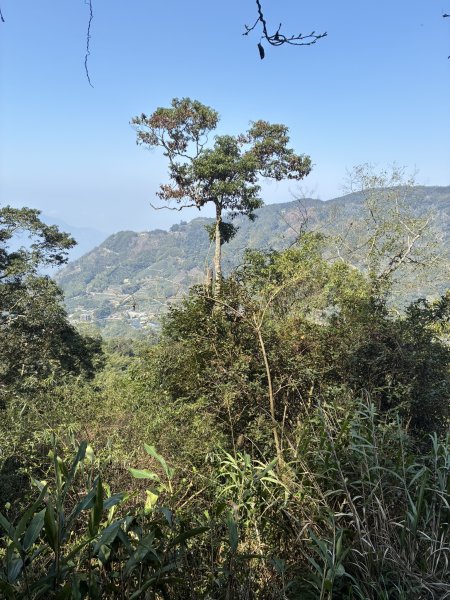 20260322[公車]石壁山&嘉南雲峰3019930