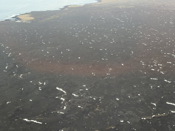 [紐約馬之行-50] 2025_1109~11 回到冰島/美國2952664