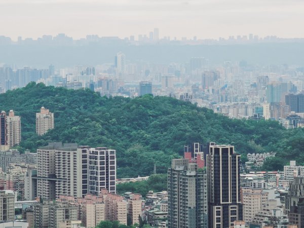 2026年臺北大縱走第七段：世界山莊至飛龍步道政大後山3032053