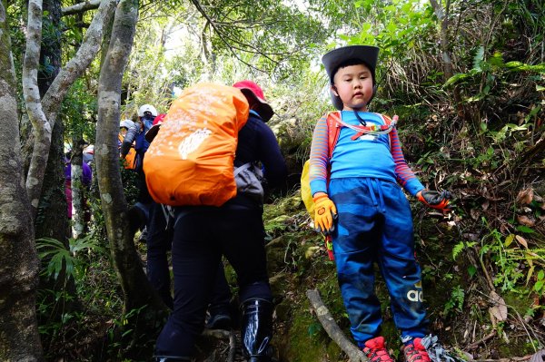 親子健行-永定坑山連走皇帝殿連稜下石碇823155