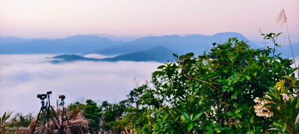 #翡翠水庫壩頂 #日出 #雲海 #藍腹鷴 2/22 #年初六3004055