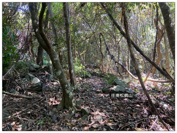 南松鶴山～八仙山 (台中 和平)2926082