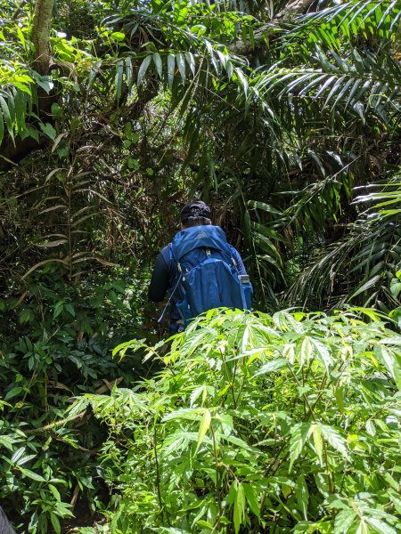 【屏東-小百岳】三大郊山 里龍山O走1025774
