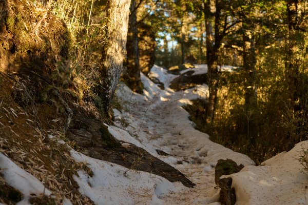 踏入冰雪聖殿-冬季大霸群峰2422943