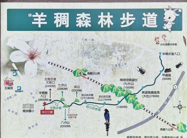 2025/08/03_羊稠森林步道2850656