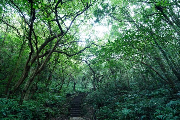 新北 石碇 皇帝殿東峰2628216