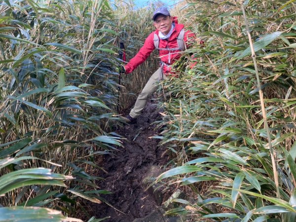 小觀音山群峰【當登山遇到惰性來襲時…】2686411