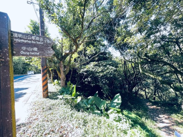 20261009 菁苗步道（苗圃登山口-菁山自然中心-前山公園）3133904