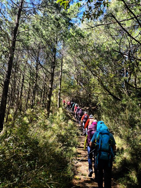 2025-08-24 塔塔加-大鐵杉-鹿林山莊-鹿林前山-鹿林山-黑森林-玉山登山口-上東埔2869075