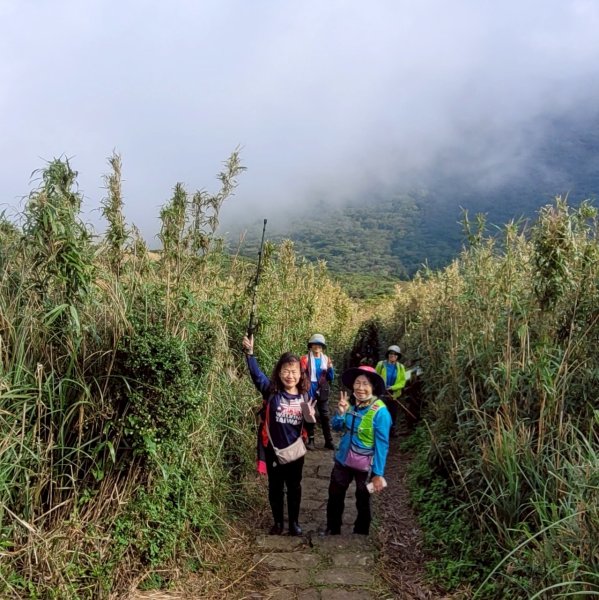 【臺北大縱走 2】【第二回合全程完成證書】鞍部→大屯山步道→大屯山主峰→大屯坪步道→二子坪步道2960332