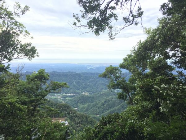 2018/06/20 獅潭仙山步道354856