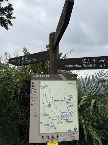 1150206天上山及硬漢嶺2999153