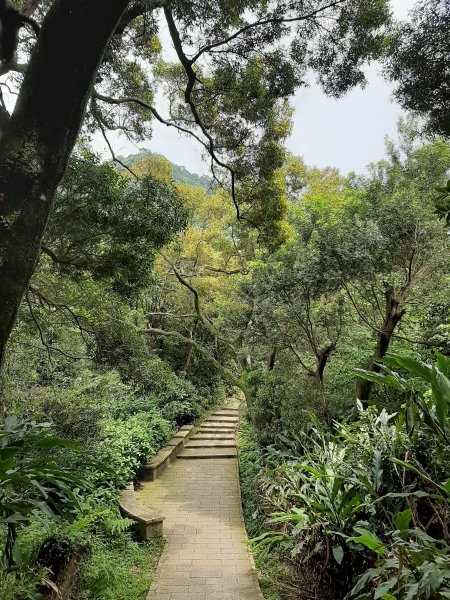 小百岳寶石〡No.16南勢角山13南港山953707