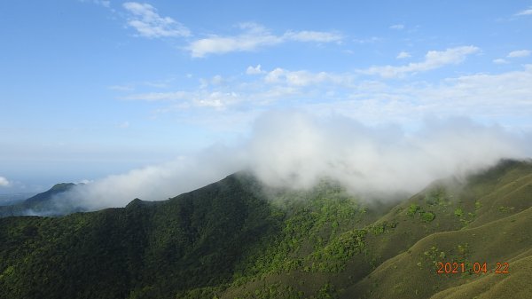 陽明山再見雲瀑觀音圈+月亮同框&夕陽4/22&241359600