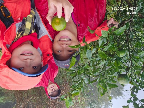 陽明東缺西縱走五連峰+小油坑山(H834m)2928973