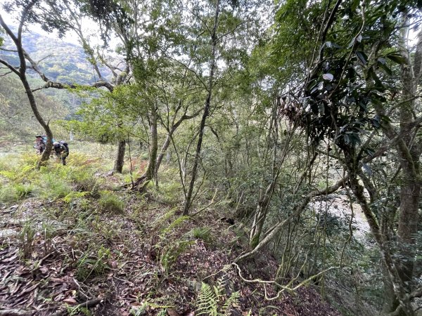 鍛鍊海鼠O型縱走 (上)1314488