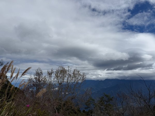 1150301溪頭天文台步道3008330