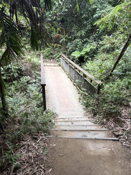 20251024蘭潭後山步道、紅毛埤山、山子頂山2924056