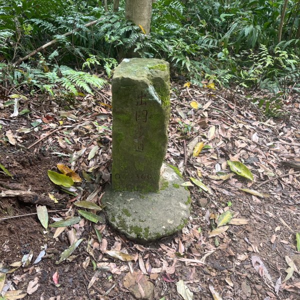 20250407_關刀山步道（苗栗小百岳）2855747