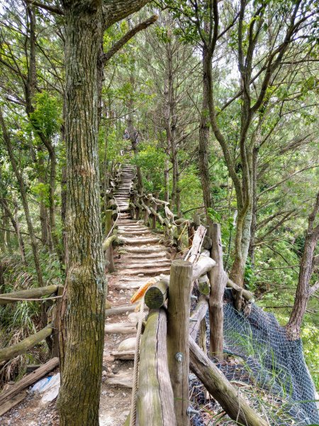 頭嵙山(小百岳#41)大坑4,5,1步道1003679