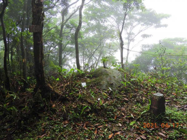 新北 坪林 東坑山、建牌崙山、梳妝樓山1352009