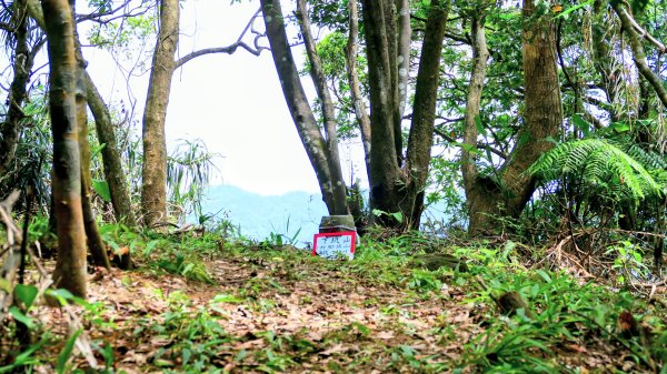 雙溪三柑Ｏ走2839883