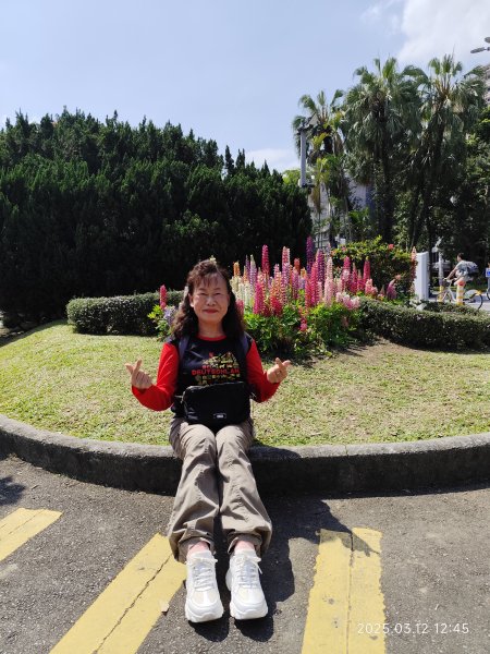 內湖運動中心→勞工保險局→南門市場→台灣電力公司→國立臺灣大學2734275