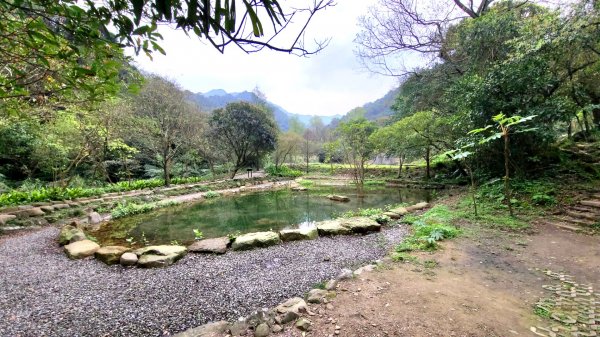 暖東峽谷步道+頂子寮山550m2060507