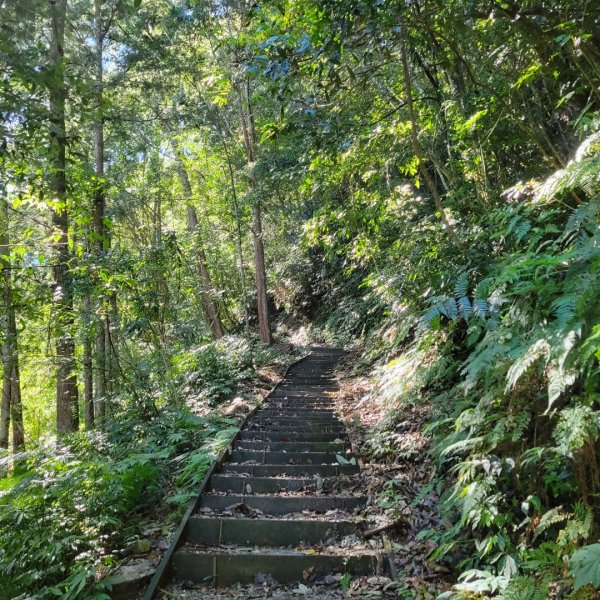 藤枝國家森林遊樂區（小百岳）2291773