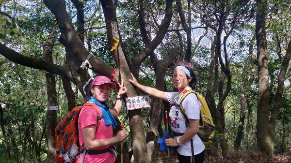 (姨婆趴趴走)第十三集:桃園龜山福源山步道、大棟山縱走2191714