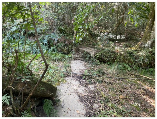加里山前山隘勇線、騰龍山、橫龍山 連走3027659