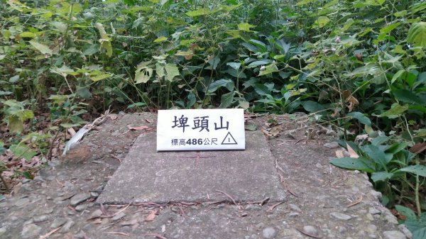 臺中 太平 三汀山、埤頭山1495926