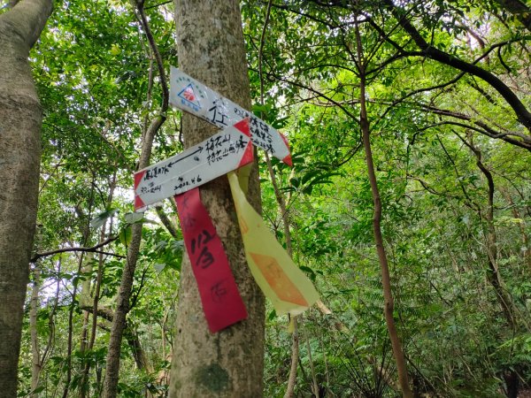 ［梅花四弄］（梅花山主，西，北，南峰）［雙溪山+內雙溪山+五指山西峰］［雙溪溝古道+石門嶺古道］2321816