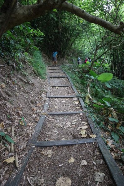 〔北投〕半嶺吊橋 半嶺水圳古道 半嶺瀑布 松溪瀑布。剛完工不久，滿滿森林芬多精的半嶺水圳步道2221077