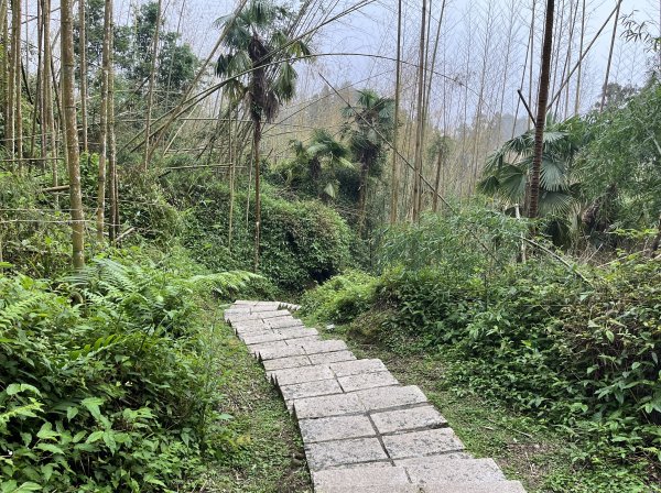 [嘉遊好步道．來嘉走走-04/10] 2024_1011 阿里山頂湖步道2624707