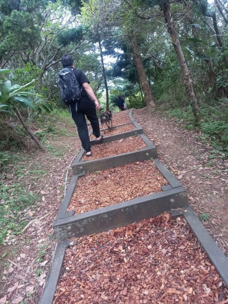 10-10 金山獅頭山公園1885967