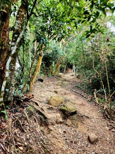 小百岳集起來-馬那邦山2181239