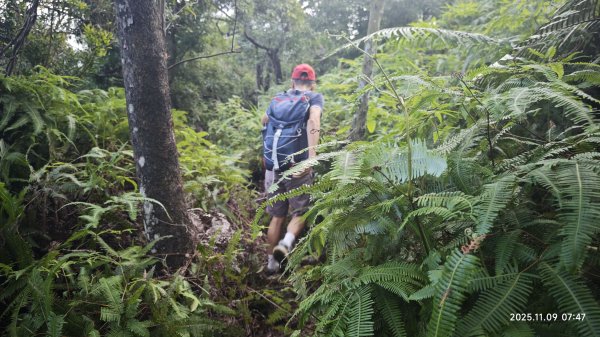 20251109 士林站到大湖站(福山宮_腰繞_燕溪古道_翠山步道_龍船岩_大溝溪)2932319