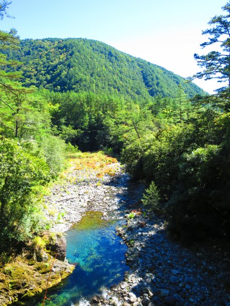 如童話般的森林步道-武陵桃山瀑布步道1190728