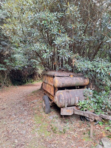 觀霧之榛山O型202411232653961