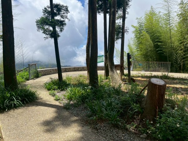 嵐山再古坑。五元兩角 木馬古道2806174