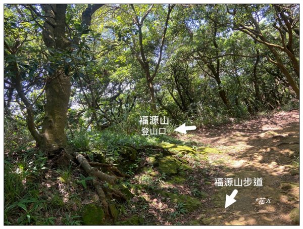 福源山步道 (桃園、龜山)2819172
